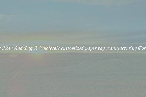 Shop Now And Bag A Wholesale customized paper bag manufacturing For Less