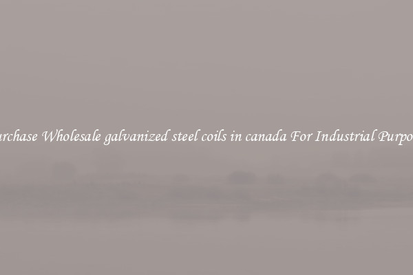 Purchase Wholesale galvanized steel coils in canada For Industrial Purposes
