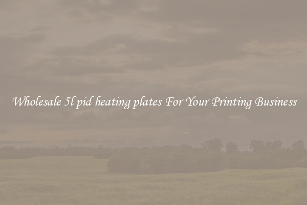 Wholesale 5l pid heating plates For Your Printing Business