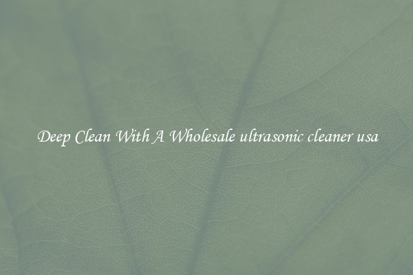 Deep Clean With A Wholesale ultrasonic cleaner usa