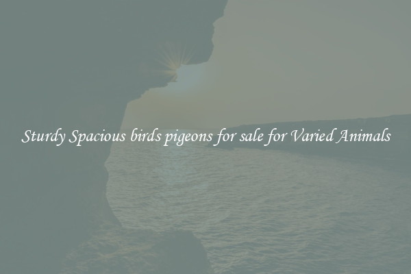 Sturdy Spacious birds pigeons for sale for Varied Animals