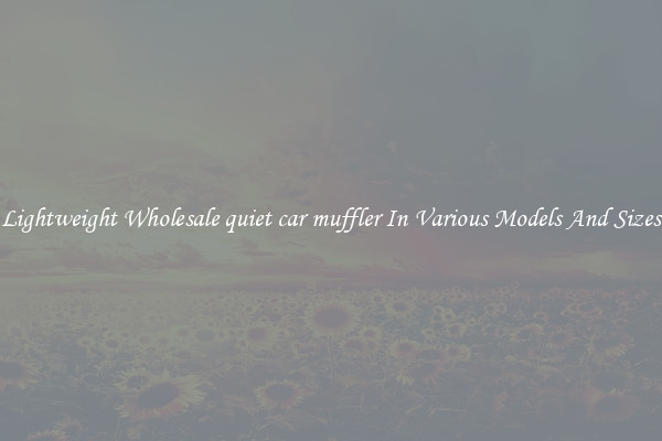 Lightweight Wholesale quiet car muffler In Various Models And Sizes