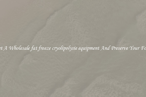 Get A Wholesale fat freeze cryolipolysie equipment And Preserve Your Food