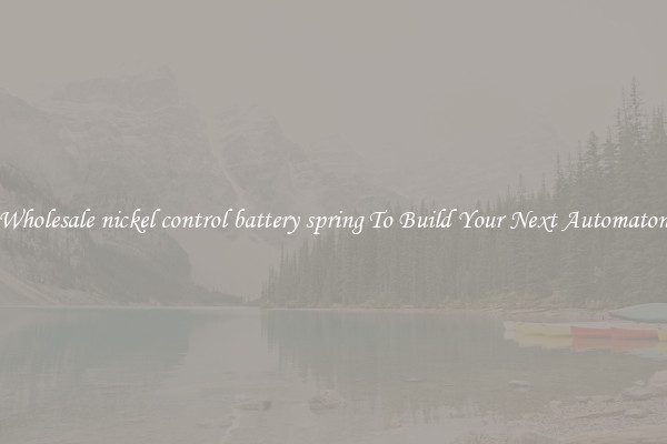 Wholesale nickel control battery spring To Build Your Next Automaton