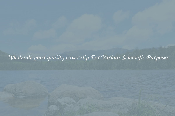 Wholesale good quality cover slip For Various Scientific Purposes