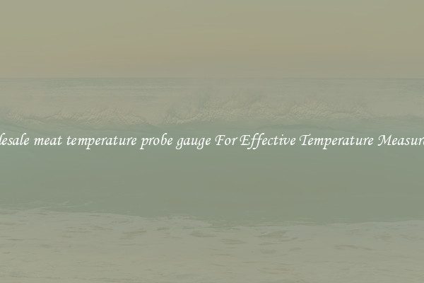 Wholesale meat temperature probe gauge For Effective Temperature Measurement