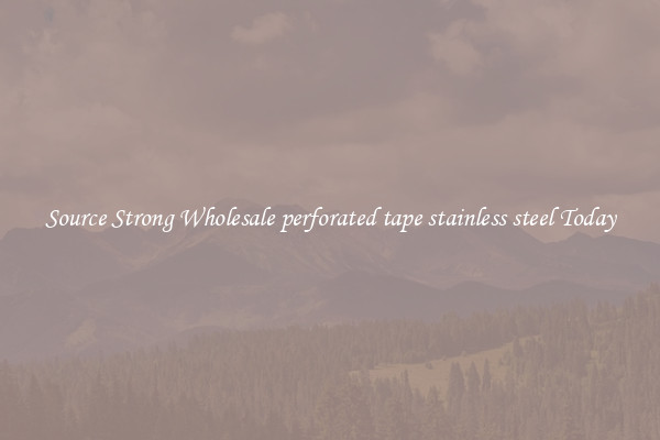 Source Strong Wholesale perforated tape stainless steel Today