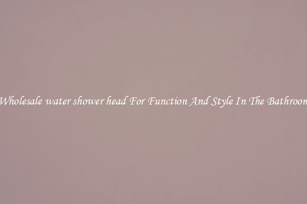 Wholesale water shower head For Function And Style In The Bathroom