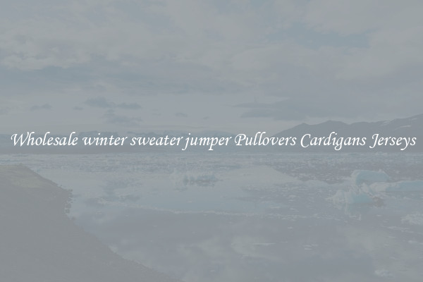 Wholesale winter sweater jumper Pullovers Cardigans Jerseys