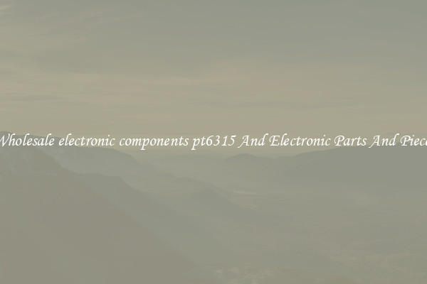 Wholesale electronic components pt6315 And Electronic Parts And Pieces
