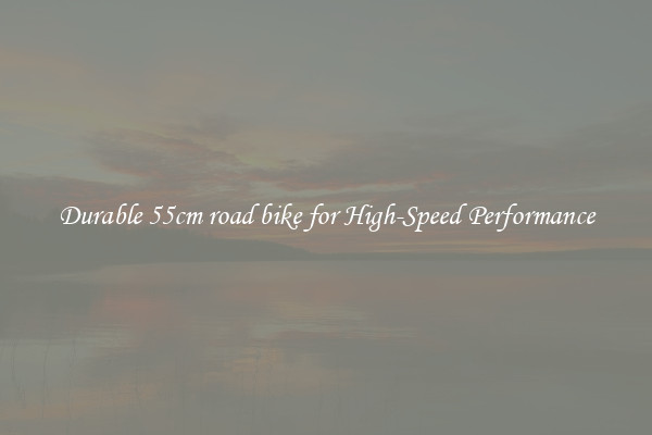 Durable 55cm road bike for High-Speed Performance