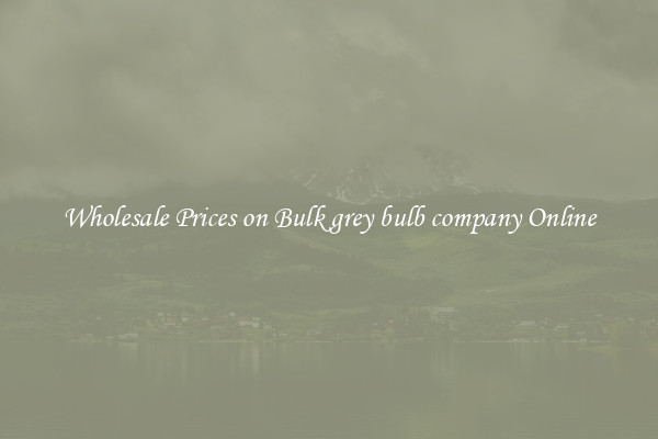 Wholesale Prices on Bulk grey bulb company Online